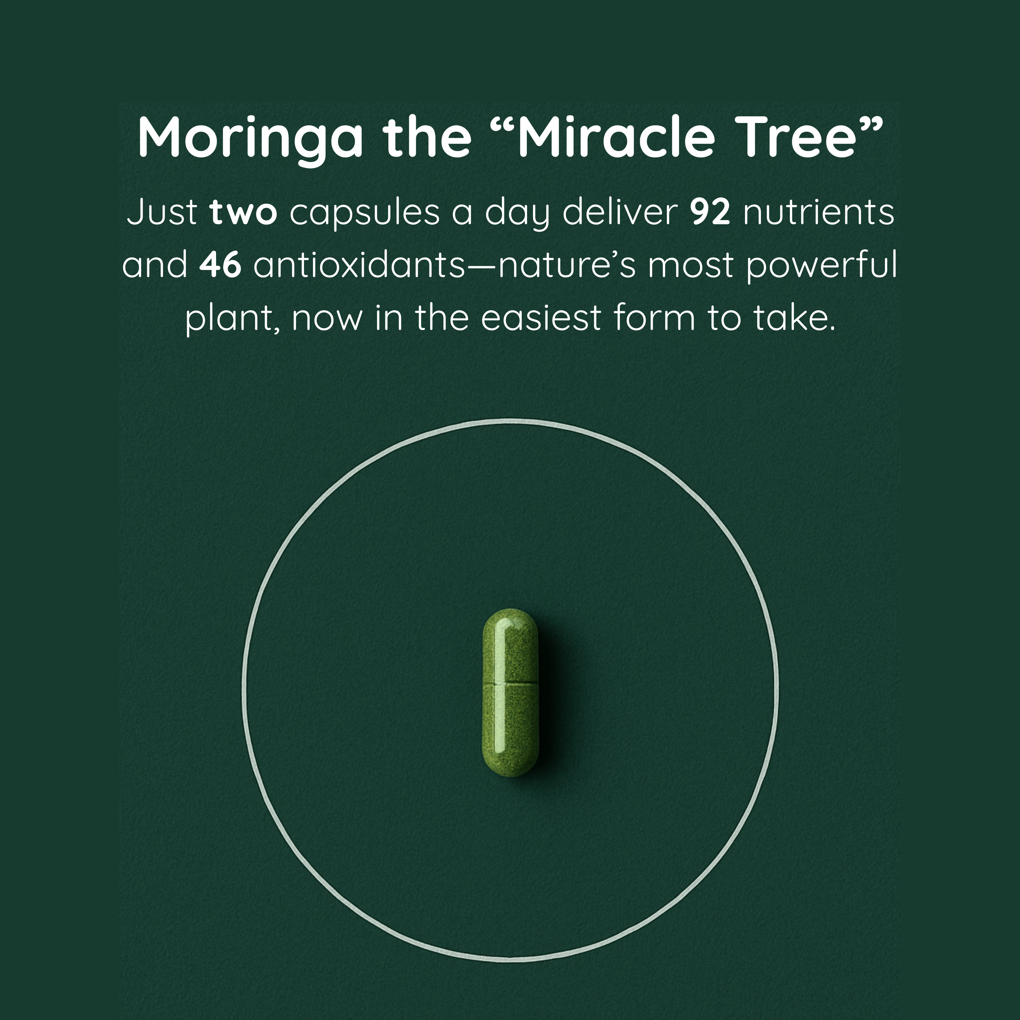 Moringa Capsules